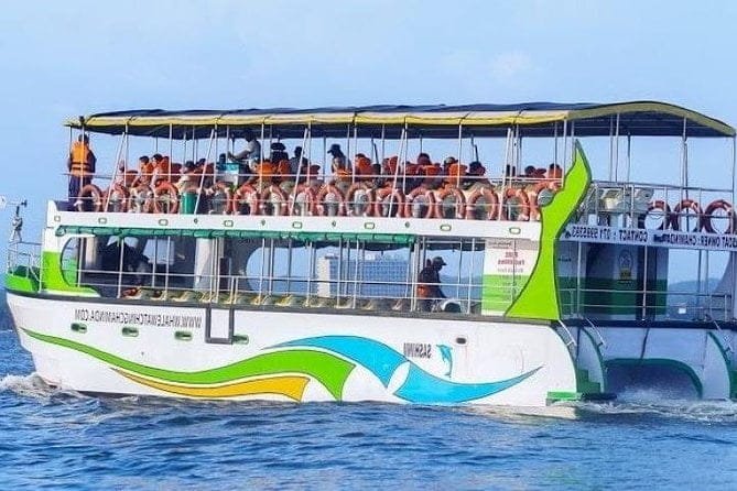 A whale-watching boat out at sea