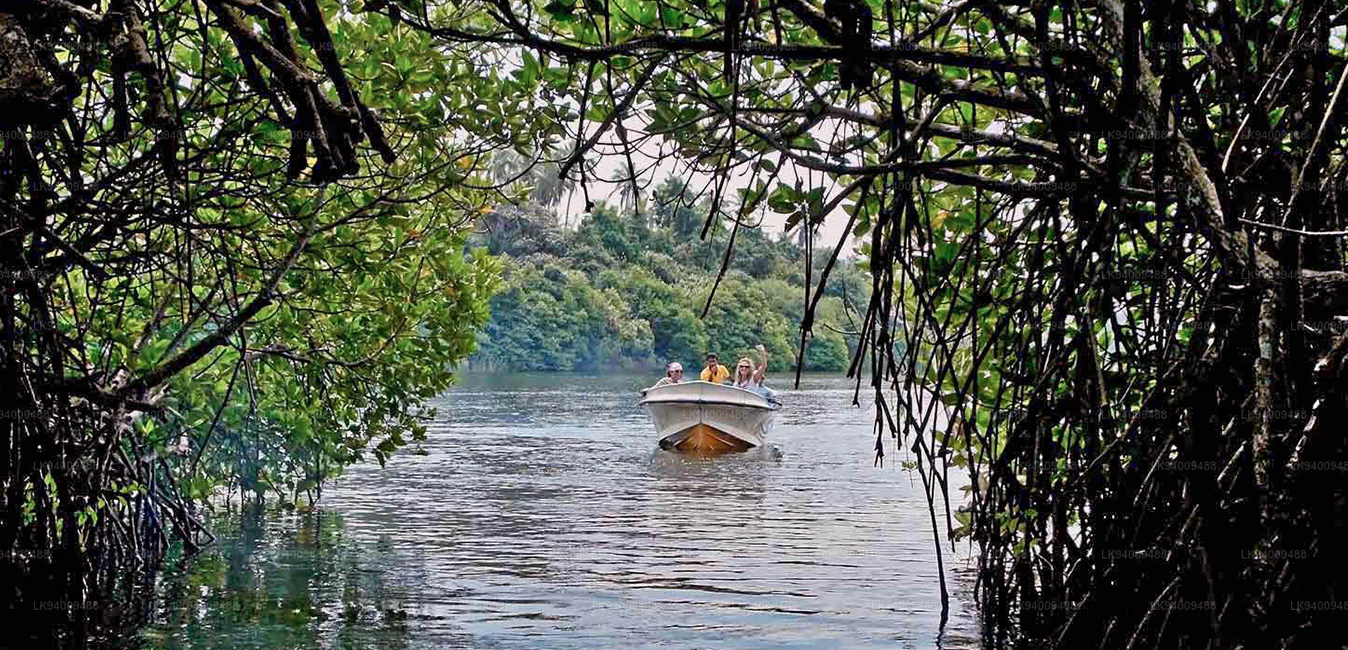 Madu River Boat Safari