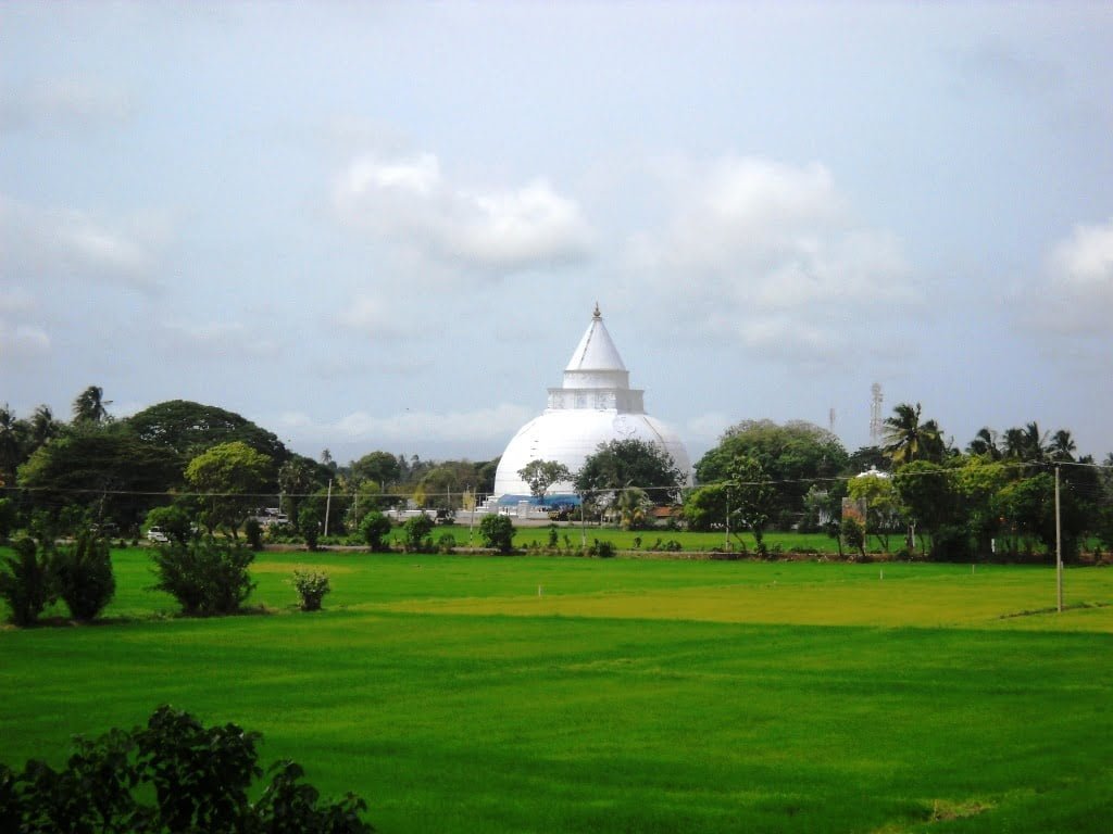 Yala National Park safari and Tissamaharama tours