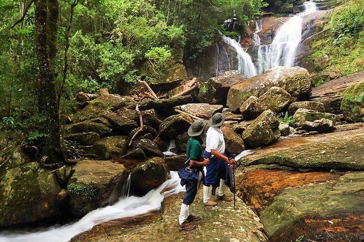 Bird Watching, Hiking, and Trekking in Rainforest