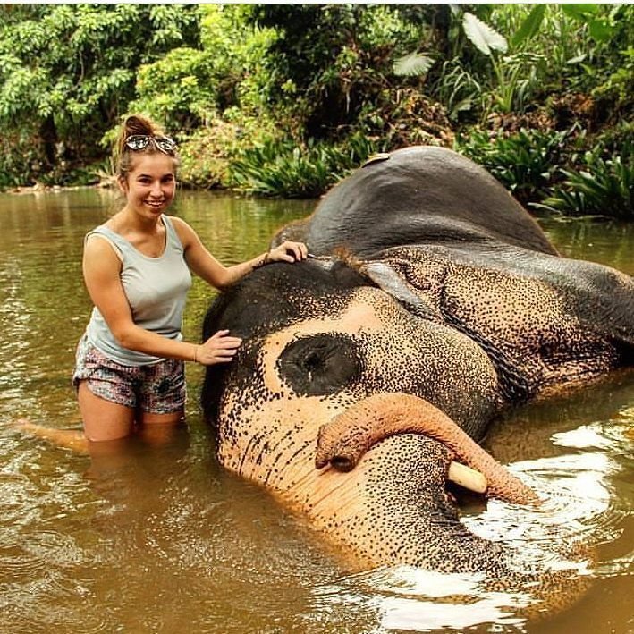 Elephant Activities at Elephant orphanage