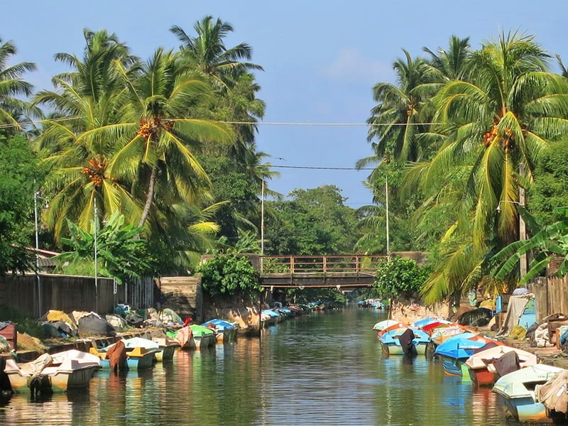 Hamilton Canal, Negombo