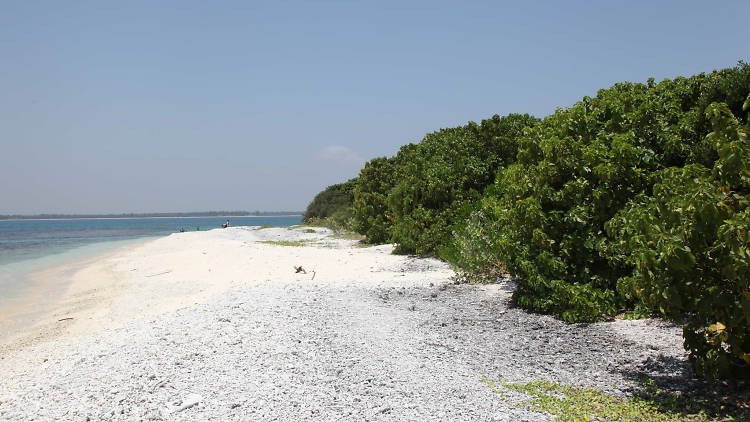 Explore the Wonders of Pigeon Island National Park in Trincomalee