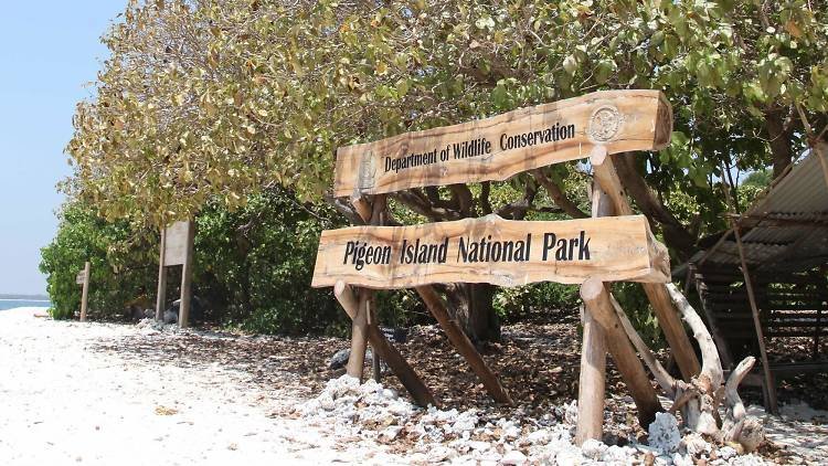 Explore the Wonders of Pigeon Island National Park in Trincomalee