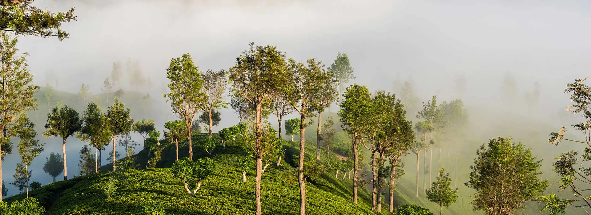 Haputale, Sri Lanka