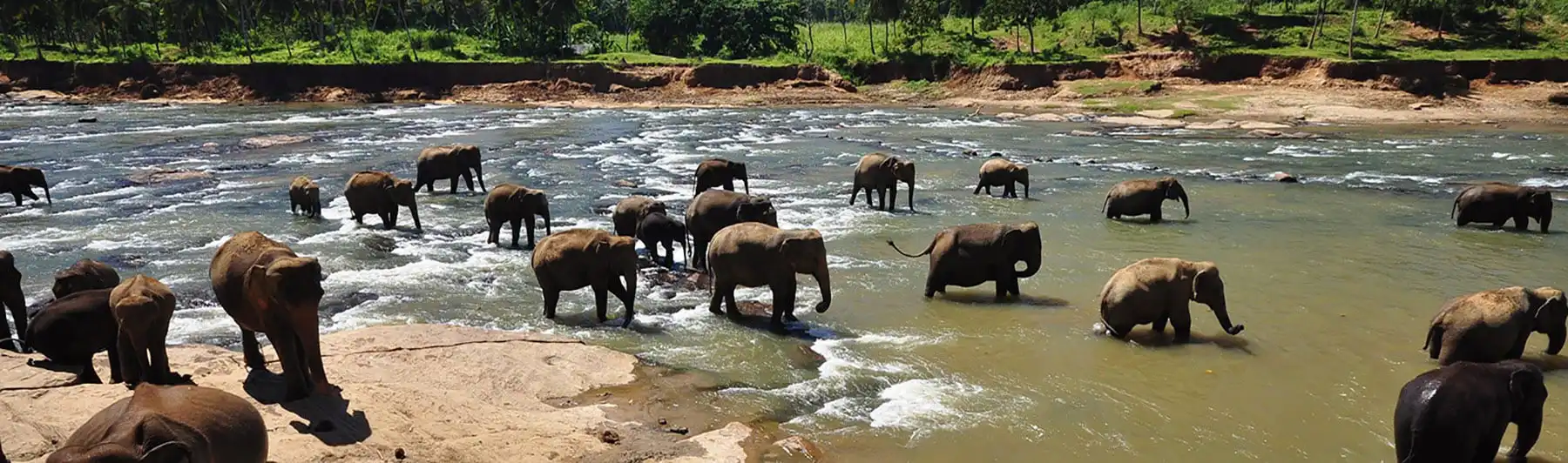 Pinnawala, Sri Lanka